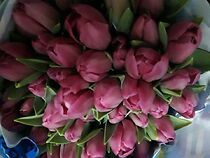 Watch Akin ka ngayong gabi