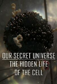 Watch Our Secret Universe: The Hidden Life of the Cell