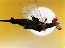 Watch Urwaldmärchen (Short 1978)