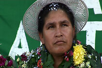 Watch Hartos Evos, aquí hay. Los cocaleros del Chapare