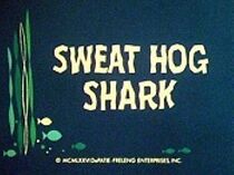 Watch Sweat Hog Shark (Short 1976)