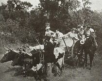 Watch Two Spies (Short 1912)