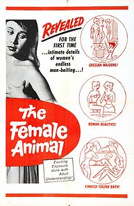 Watch Das Geheimnis der Venus