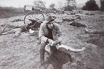 Watch The Parasite (Short 1912)