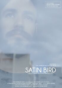 Watch Satin Bird (Short 2016)