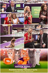 Watch Kitten Bowl (TV Special 2014)