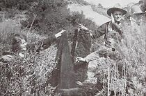 Watch Cupid's Lariat (Short 1913)