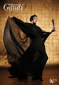 Watch VIII Premis Gaudí de l'Acadèmia del Cinema Català (TV Special 2016)