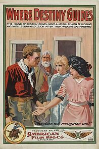 Watch Where Destiny Guides (Short 1913)