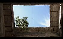 Watch The Tree (Short 2015)