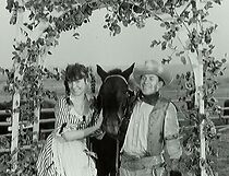 Watch Slechetný cowboy Sandy aneb Prohraná nevesta