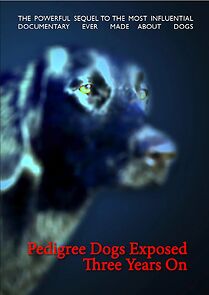 Watch Pedigree Dogs Exposed