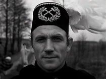 Watch Sztygar na zagrodzie (Short 1978)