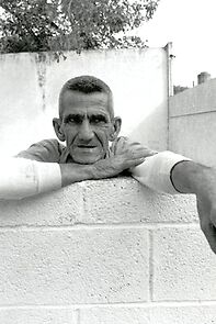 Watch De gale i Havanna