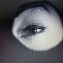 Watch Behind Walls (Short 1999)