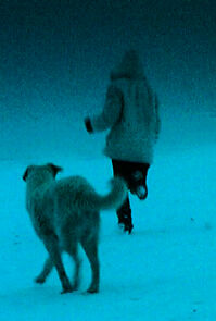 Watch Polanow (Short 2002)