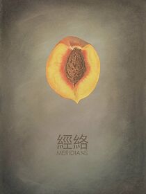 Watch Meridians (Short 2015)