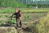 Watch ¡La vida orgánica! (Short 2009)