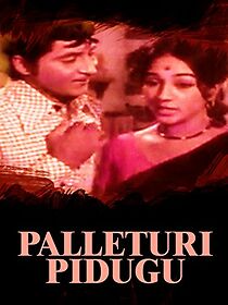 Watch Palletoori Pidugu