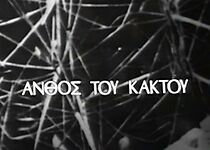 Watch To anthos tou kaktou