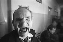 Watch Evolution (Short 2002)