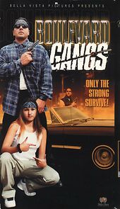 Watch Boulevard Gangs