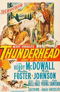 Watch Thunderhead: Son of Flicka
