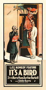 Watch It's a Bird (Short 1919)