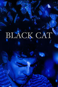 Watch Black Cat