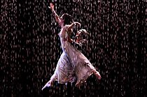 Watch O Balé da Chuva (Short 2014)