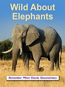 Watch Elephants (Short 2012)