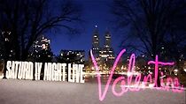 Watch An SNL Valentine (TV Special 2015)