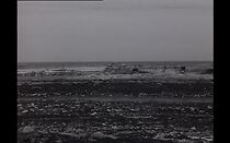 Watch Caprelles et Pantopodes (Short 1930)