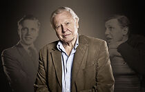 Watch David Attenborough: The Early Years