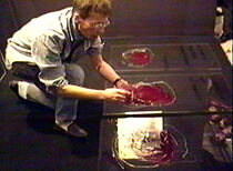 Watch Cent cinquante poèmes mis en sang (Short 1993)