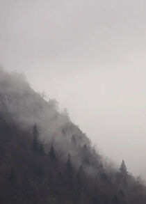 Watch Granje i korijenje (Short 2014)