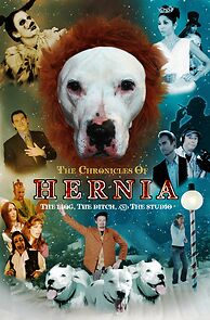 Watch The Chronicles of Hernia: The Lion, the Ditch and the Studio