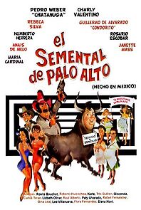 Watch El semental de Palo Alto