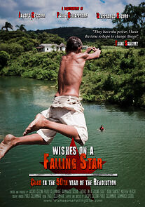 Watch Wishes on a Falling Star