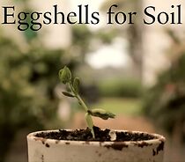 Watch Eggshells for Soil (Short 2010)