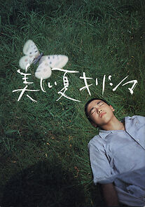 Watch A Boy's Summer in 1945