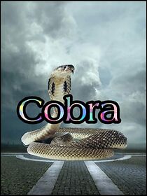 Watch Cobra