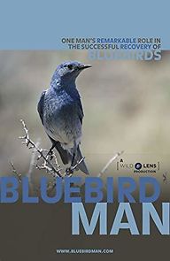 Watch Bluebird Man