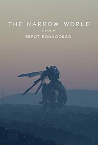 Watch The Narrow World