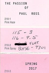 Watch The Passion of Paul Ross
