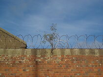 Watch Out (Short 2009)