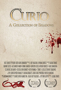 Watch Curio 'A Collection of Shadow' (Short 2013)