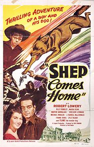 Watch Shep Comes Home