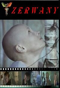 Watch Zerwany