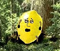 Watch Fatpie 1: Burger Tash